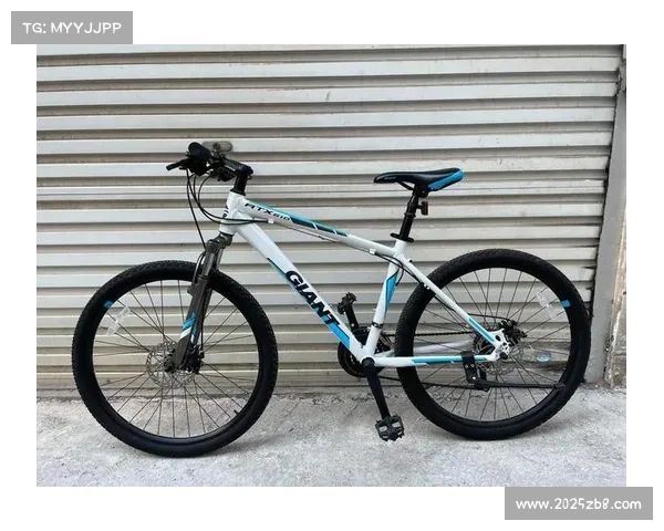 二手高端山地车市场活跃，保值率受关注